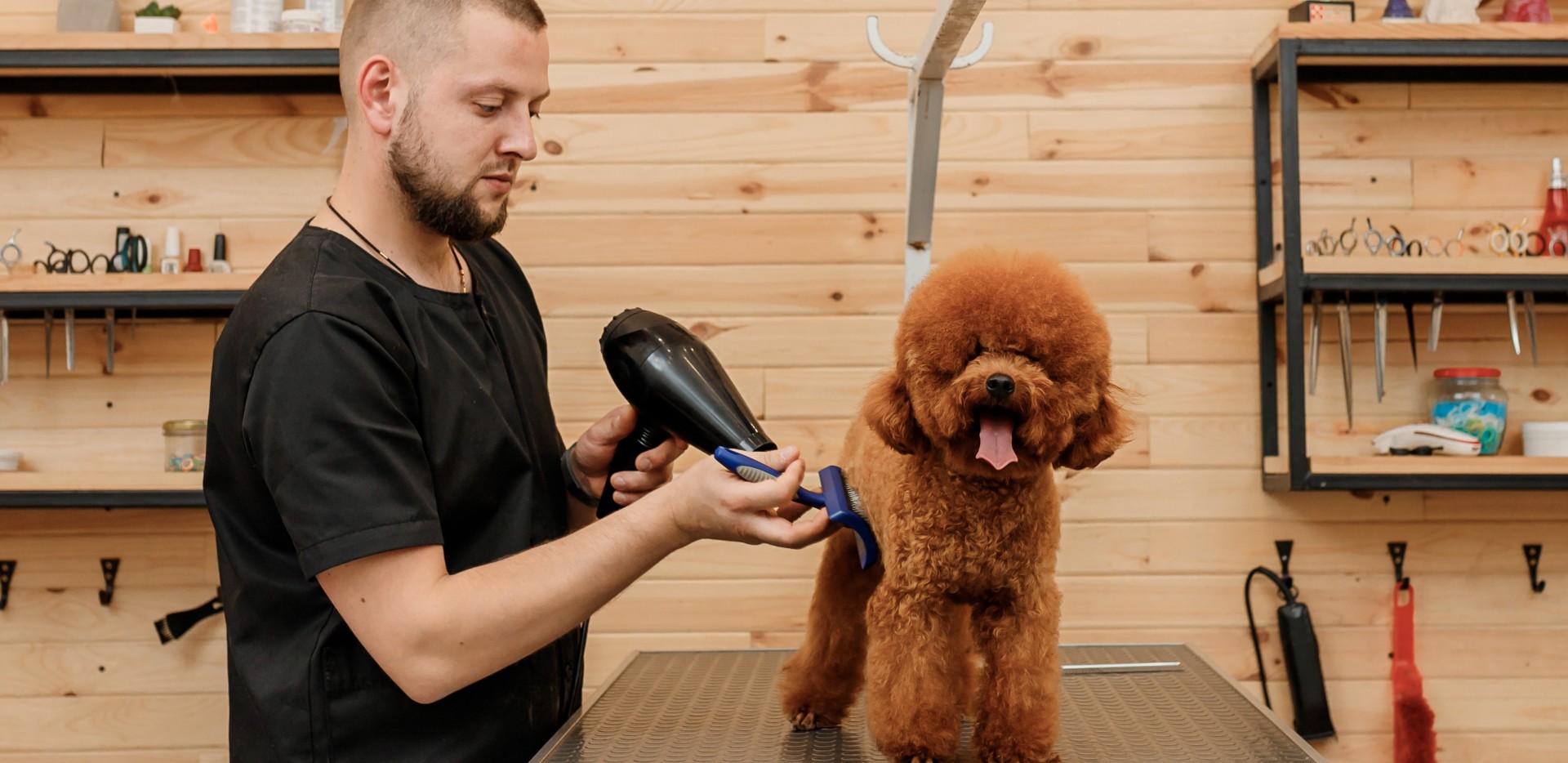 Toiletteur s'occupe d'un chien