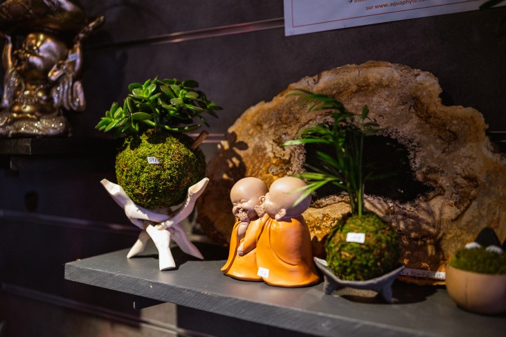 Remise titre de maitre artisan d'art Aquaphyte 9