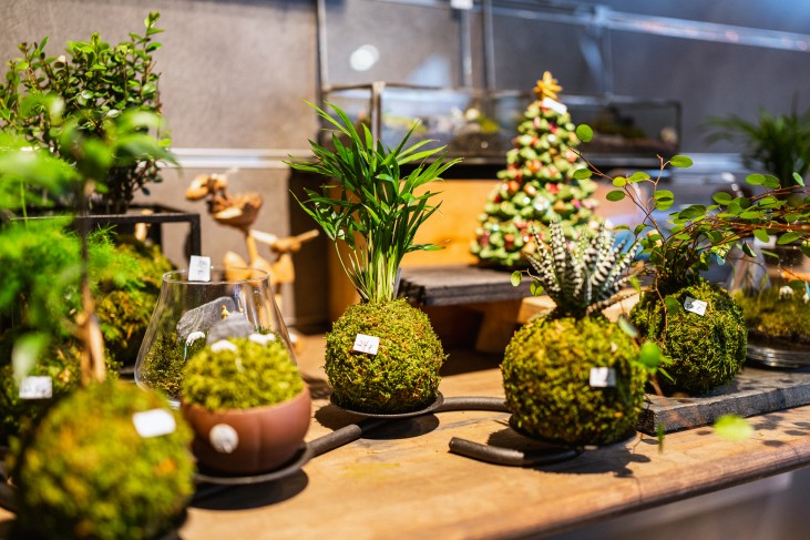 Remise titre de maitre artisan d'art Aquaphyte 10