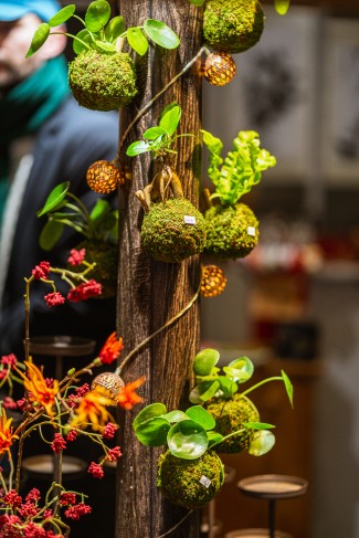 Remise titre de maitre artisan d'art Aquaphyte 14