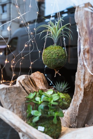 Remise titre de maitre artisan d'art Aquaphyte 3