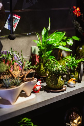 Remise titre de maitre artisan d'art Aquaphyte 6