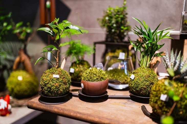 Remise titre de maitre artisan d'art Aquaphyte 7