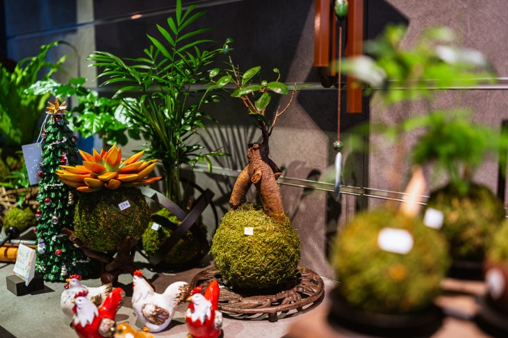 Remise titre de maitre artisan d'art Aquaphyte 8