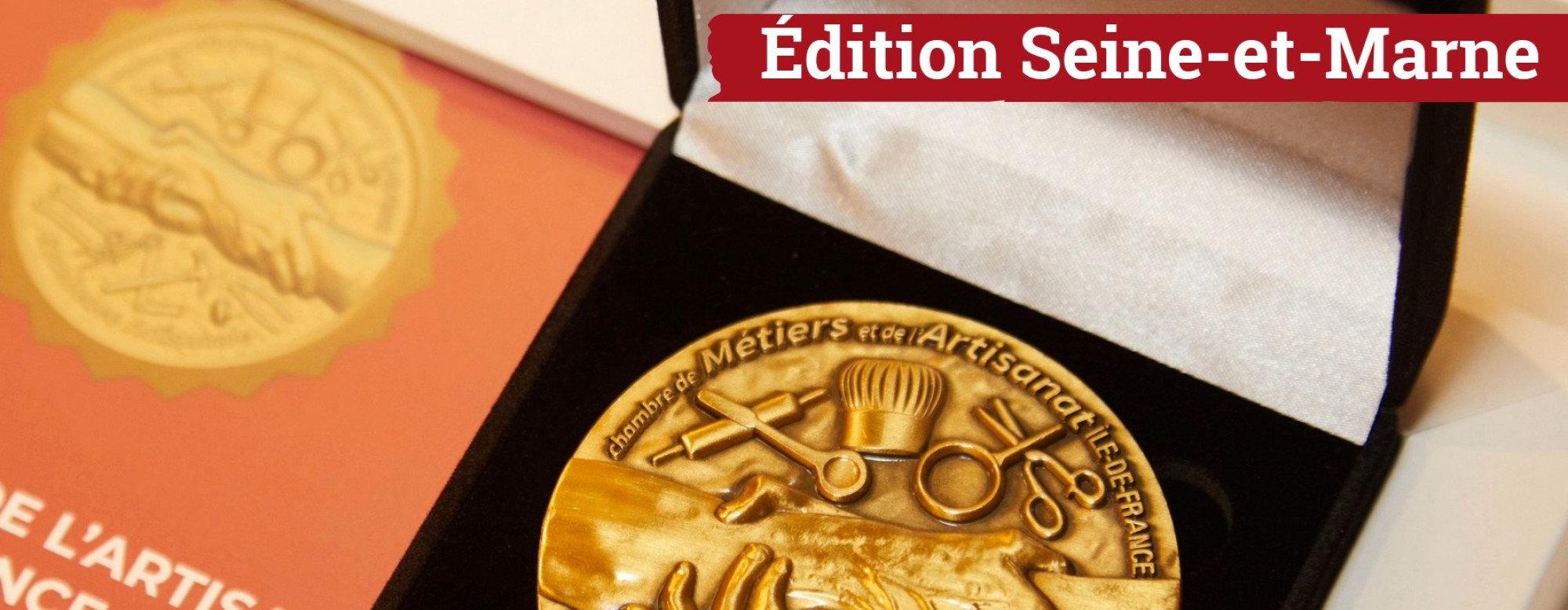 Médaille de l'excellence
