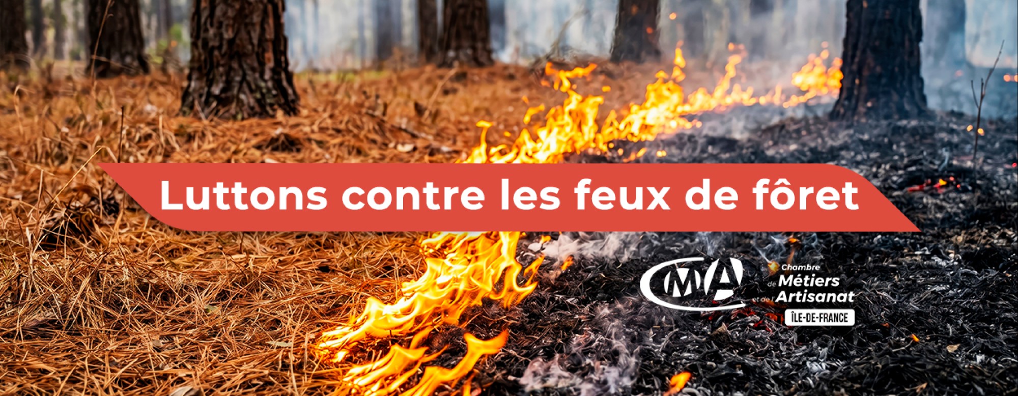 article incendies yvelines juillet 2026