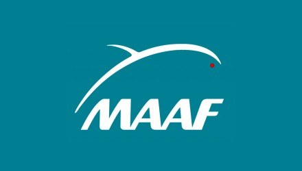 logo maaf fond bleu article site