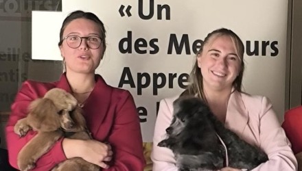 Concours MAF Toilettage canin - Oct 2026 (4)44.jpeg
