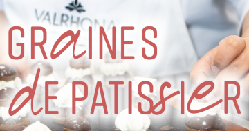 logo graine de patissier