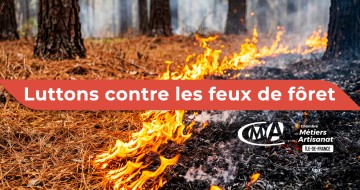 article incendies yvelines juillet 2026