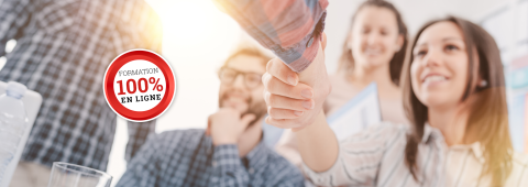 Des professionnels se serrant la main