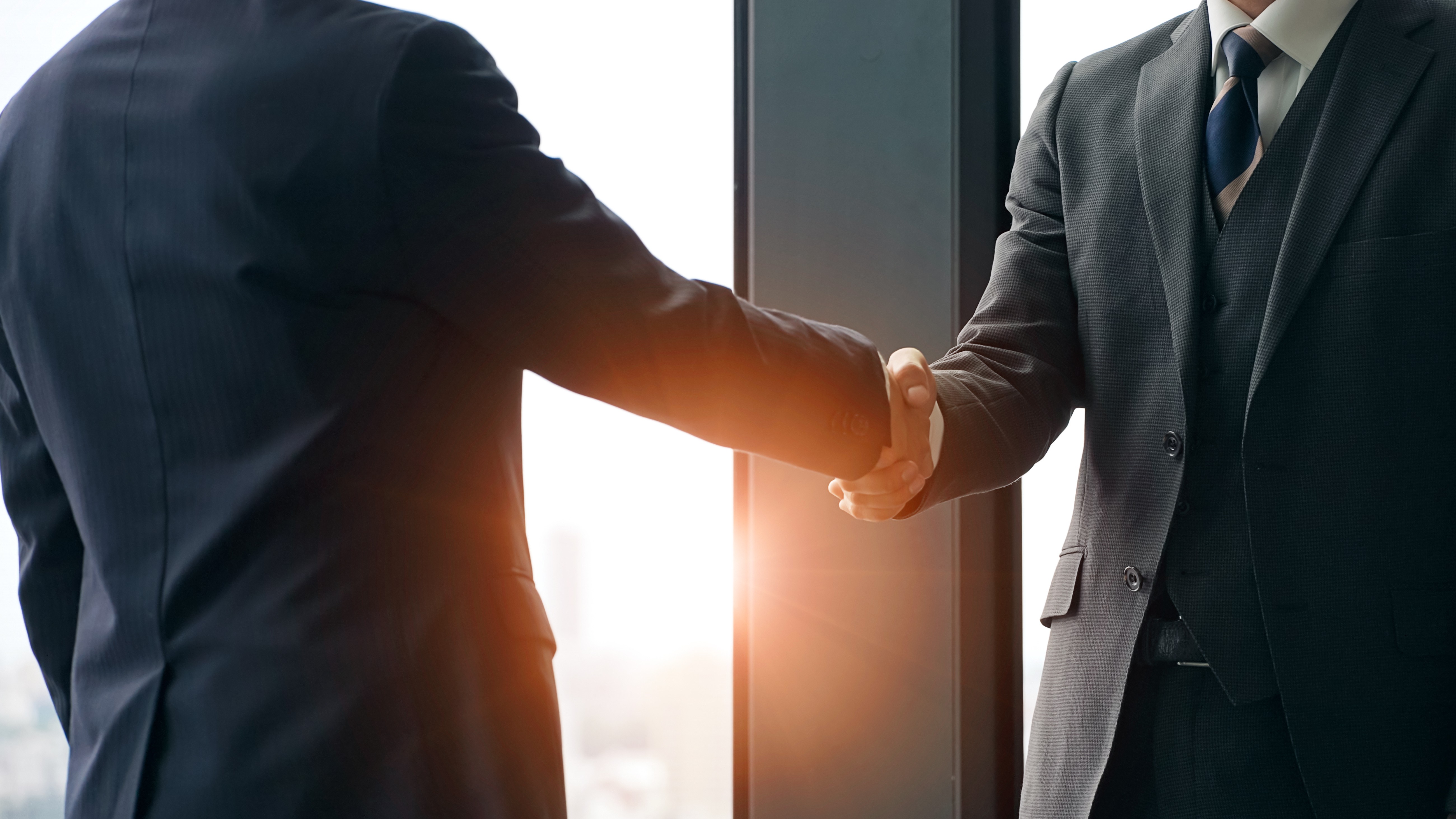 Deux professionnels se serrant la main